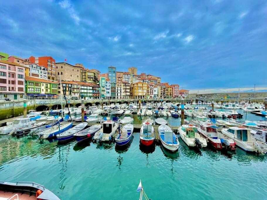 Ostadar Etxea Centrico Reformado Apartment *